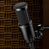AT2020 MICRÓFONO AUDIO TECHNICA DIAFRAGMA LATERAL CARDIOIDE